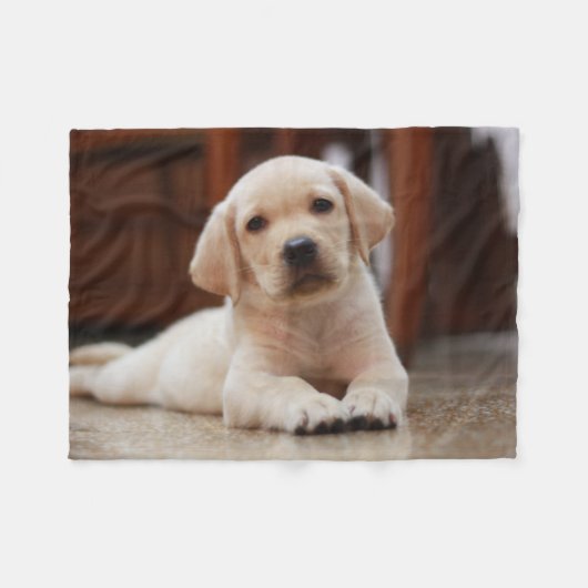 Baby gele Labrador Puppy Dog op Belly Fleece Deken (Voorkant (Horizontaal))