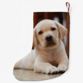 Baby gele Labrador Puppy Dog op Belly Kleine Kerstsok (Achterkant)
