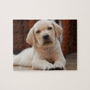 Baby gele Labrador Puppy Dog op Belly Legpuzzel