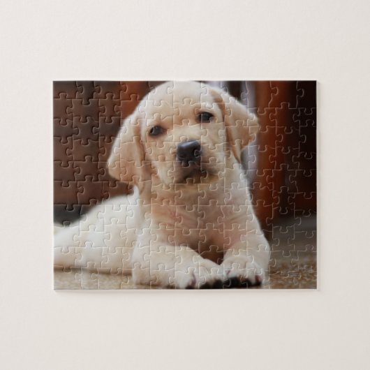 Baby gele Labrador Puppy Dog op Belly Legpuzzel (Horizontaal)