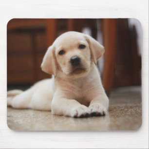 Baby gele Labrador Puppy Dog op Belly Muismat