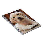 Baby gele Labrador Puppy Dog op Belly Notitieboek (Rechterzijde)
