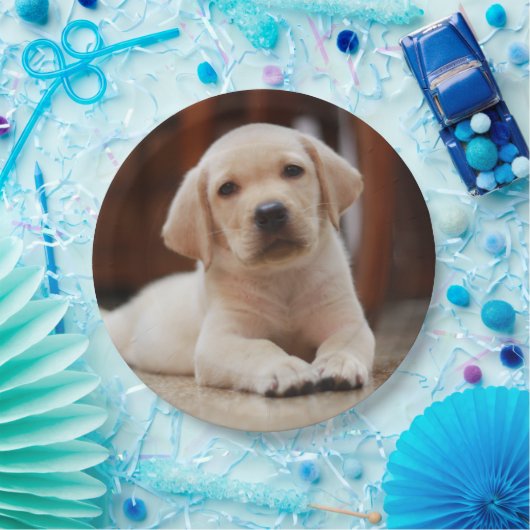 Baby gele Labrador Puppy Dog op Belly Papieren Bordje (Feest)