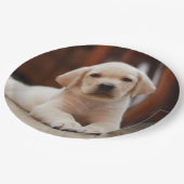 Baby gele Labrador Puppy Dog op Belly Papieren Bordje (Gekanteld)