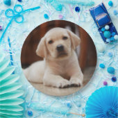 Baby gele Labrador Puppy Dog op Belly Papieren Bordje (Feest)