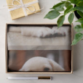 Baby gele Labrador Puppy Dog op Belly Tissuepapier (Geschenk)