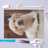 Baby gele Labrador Puppy Dog op Belly Tissuepapier (Craft)