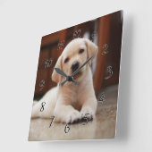 Baby gele Labrador Puppy Dog op Belly Vierkante Klok (Hoek)