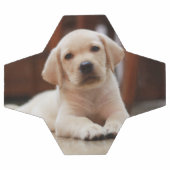 Baby gele Labrador Puppy Dog op Belly Voetbal (Enkel)