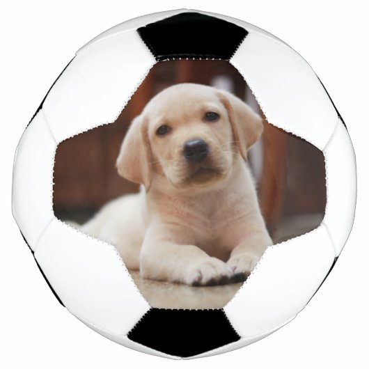 Baby gele Labrador Puppy Dog op Belly Voetbal (Voorkant)