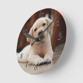 Baby gele Labradors hondje ligt op zijn buik Ronde Klok (Hoek)