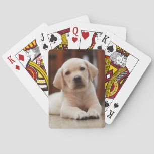 Baby gele Labradors pups hond ligt op buik Pokerkaarten