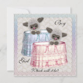 Baby Genderkwesties partijuitnodiging Kaart (Voorkant)