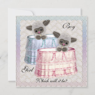 Baby Genderkwesties partijuitnodiging Kaart