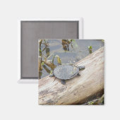 Baby geschilderde schildpad magneet (Voorkant / Achterkant)