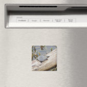 Baby geschilderde schildpad magneet (Insitu (Vaatwasser))