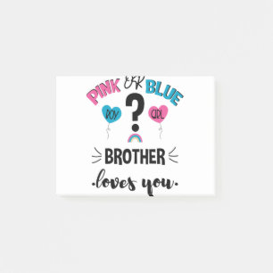 Baby Geslacht Onthulling Roze Of Blauwe Broer Houd Post-it® Notes