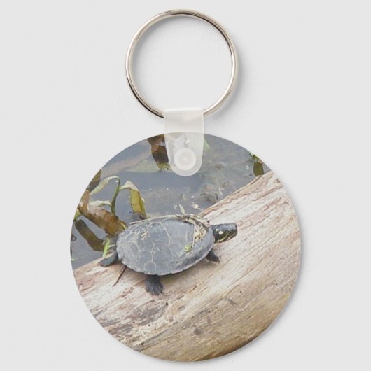 Baby geverfde Sleutelhanger voor schildpad (Voorkant)
