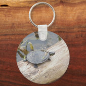 Baby geverfde Sleutelhanger voor schildpad (Voorkant)