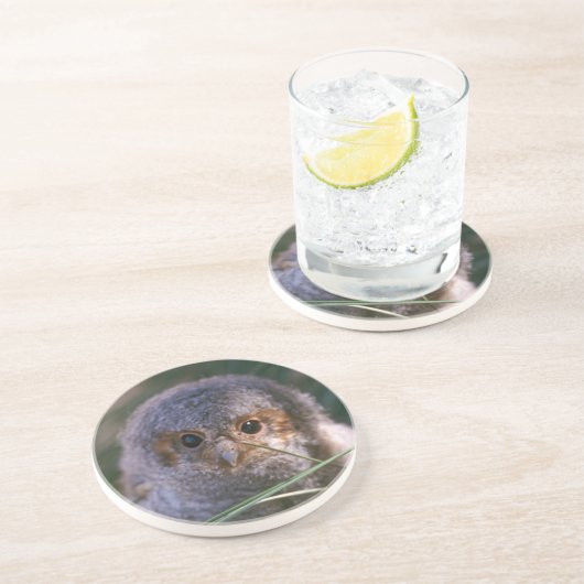 Baby Gevlammde Owl Zandsteen Onderzetter (Zijkant)