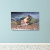 Baby Gewone Zeehond Canvas Afdruk (Insitu (Houten vloer))