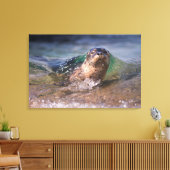 Baby Gewone Zeehond Canvas Afdruk (Insitu (Woonkamer))