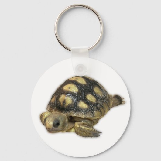 Baby Ghopher Tortoise Sleutelhanger (Voorkant)