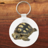 Baby Ghopher Tortoise Sleutelhanger (Voorkant)