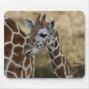 Baby Giraffe 02 Muismat