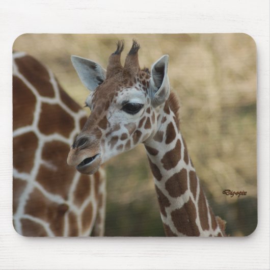 Baby Giraffe 02 Muismat (Voorkant)