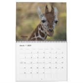 Baby Giraffe 2012 Kalender (Mar 2027)