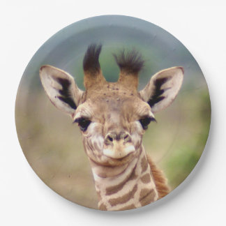 Baby giraffe afbeelding, Kenia, Afrika | 9" Papieren Bordje