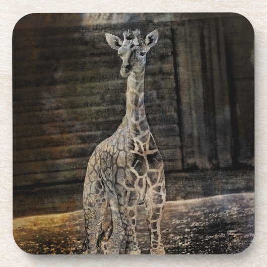 Baby Giraffe Bier Onderzetter (Voorkant)