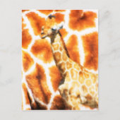 Baby Giraffe Briefkaart (Voorkant)