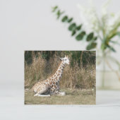Baby Giraffe Briefkaart (Staand voorkant)