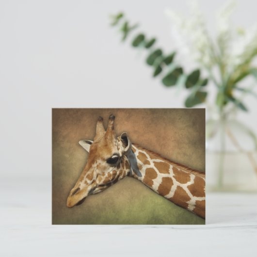 Baby Giraffe Briefkaart (Staand voorkant)