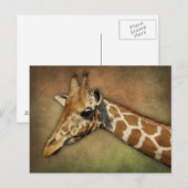 Baby Giraffe Briefkaart (Voorkant / Achterkant)