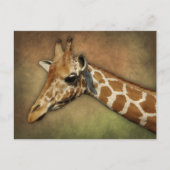 Baby Giraffe Briefkaart (Voorkant)