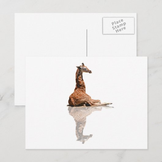 BABY GIRAFFE BRIEFKAART (Voorkant / Achterkant)