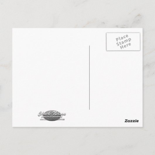 BABY GIRAFFE BRIEFKAART (Achterkant)