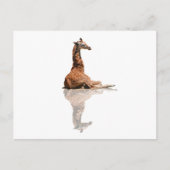 BABY GIRAFFE BRIEFKAART (Voorkant)