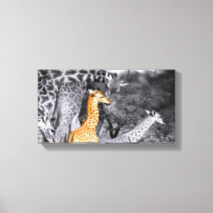 Baby Giraffe Canvas Afdruk