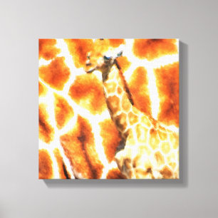 Baby Giraffe Canvas Afdruk