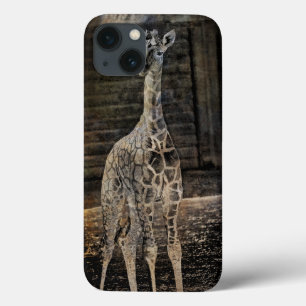 Baby Giraffe Case-Mate iPhone Case