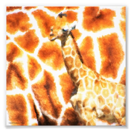 Baby Giraffe Foto Afdruk (Voorkant)
