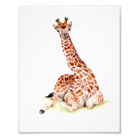 Baby Giraffe Foto Afdruk (Voorkant)
