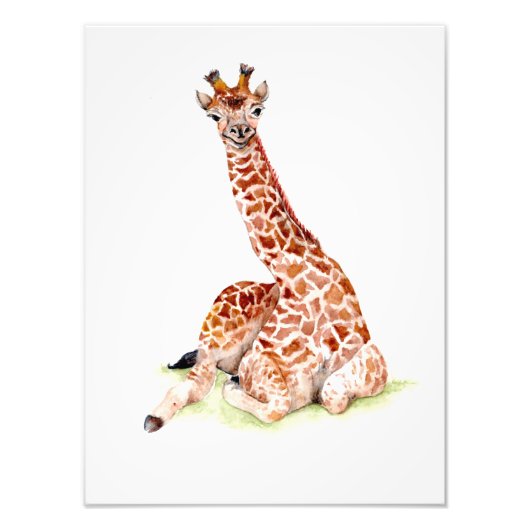 Baby Giraffe Foto Afdruk (Voorkant)