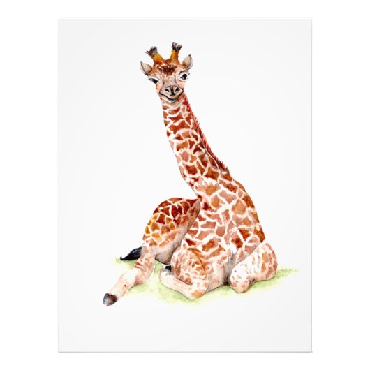 Baby Giraffe Foto Afdruk (Voorkant)