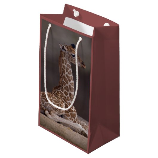Baby Giraffe Gift Bag Klein Cadeauzakje (Voorkant Gekanteld)