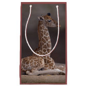 Baby Giraffe Gift Bag Klein Cadeauzakje (Voorkant)